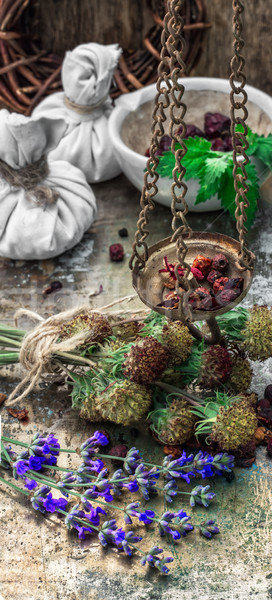 herbal medicine Stock photo © nikolaydonetsk