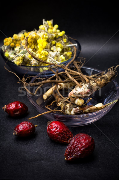 Rose hanches médecine baies séché herbes [[stock_photo]] © nikolaydonetsk