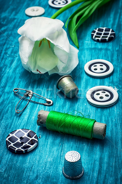 Fil boutons blanche tulipe vêtements bleu clair Photo stock © nikolaydonetsk