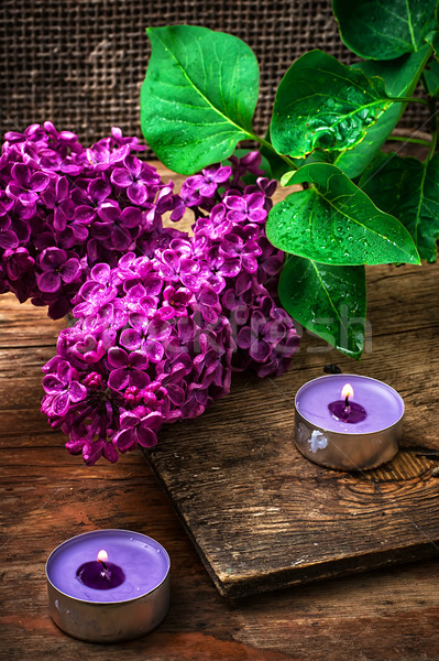 Bush may lilac and lighted candle Stock photo © nikolaydonetsk