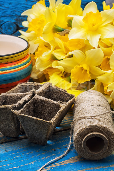 garden tools and cut daffodils Stock photo © nikolaydonetsk