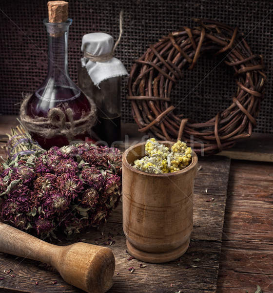 medicinal herb Stock photo © nikolaydonetsk