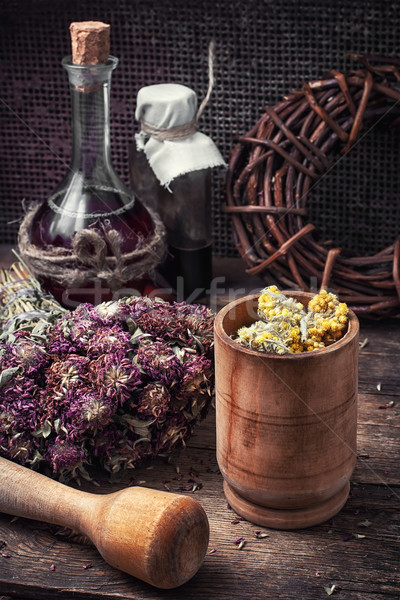harvesting of medicinal herbs Stock photo © nikolaydonetsk