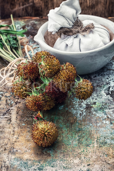 herbal medicine Stock photo © nikolaydonetsk