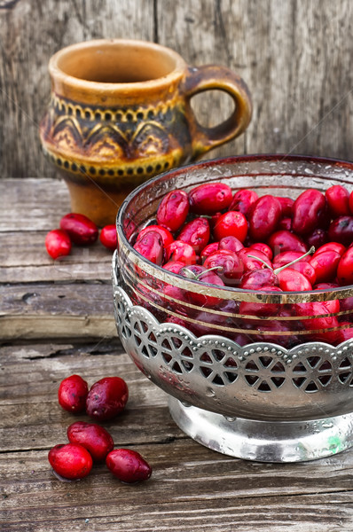 Cornel berries with herbaceous medicinal shrub Stock photo © nikolaydonetsk
