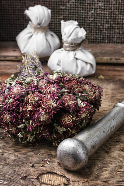 medicinal herb Stock photo © nikolaydonetsk