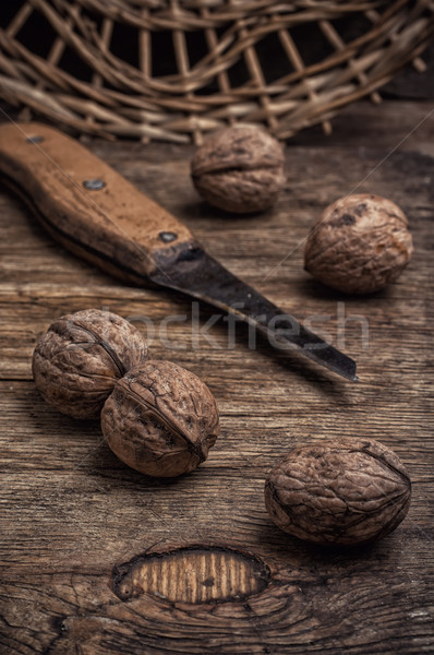 Nuez poco otono cosecha alimentos Foto stock © nikolaydonetsk