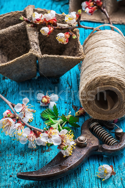 garden tools  Stock photo © nikolaydonetsk