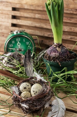 Paskalya bahar dekorasyon yumurta sümbül çiçek Stok fotoğraf © nikolaydonetsk