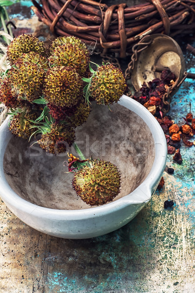 herbal medicine Stock photo © nikolaydonetsk