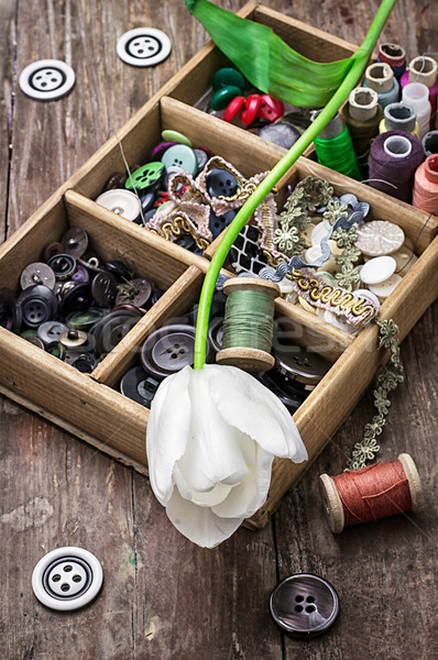 sewing buttons and thread Stock photo © nikolaydonetsk