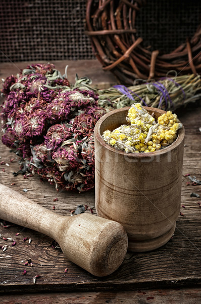 medicinal herb Stock photo © nikolaydonetsk