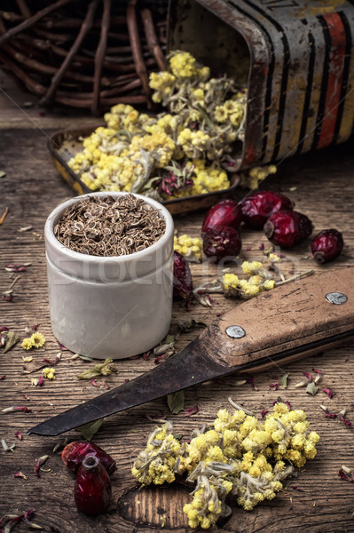 herbal medicine Stock photo © nikolaydonetsk