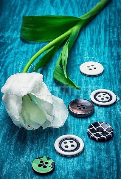 white tulip and buttons Stock photo © nikolaydonetsk