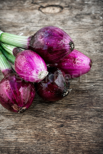 beam harvest colored onions Stock photo © nikolaydonetsk