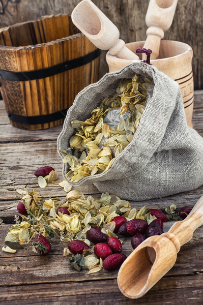 Raccolto hop taglio bag essiccati rustico Foto d'archivio © nikolaydonetsk