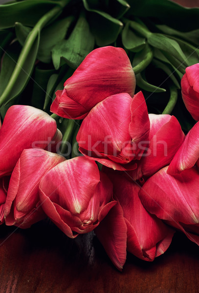 Floraison tulipes bien rangé vieux bois Pâques fleur [[stock_photo]] © nikolaydonetsk