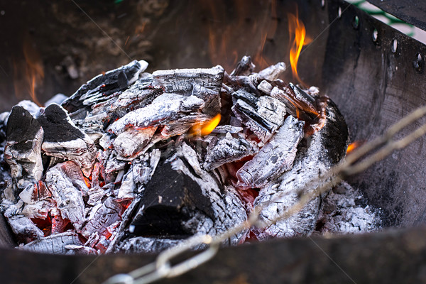 unusual grill Stock photo © nikolaydonetsk