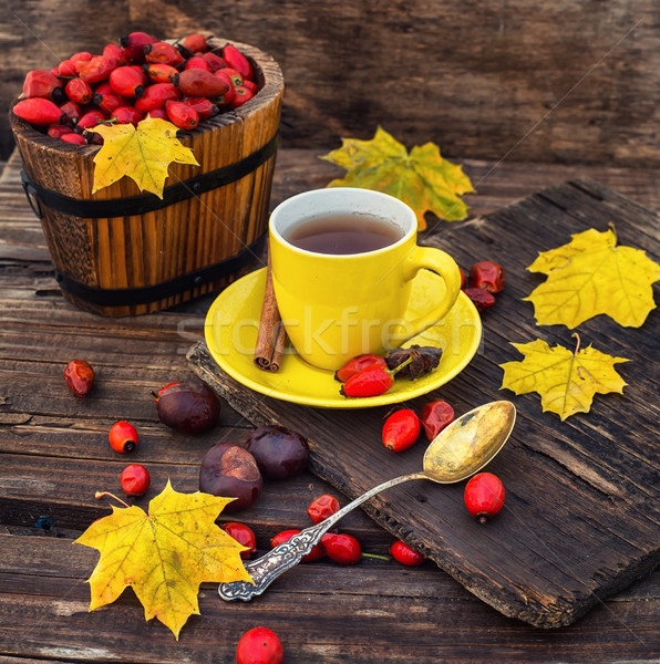 Foto stock: Outono · rosa · quadris · chá · bordo