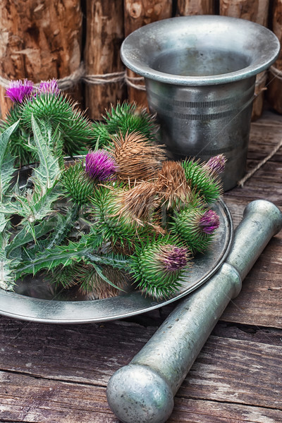 Fényes gyógyászati vasaló tál virág zöld Stock fotó © nikolaydonetsk