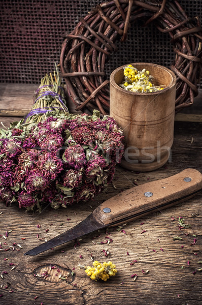 herbal medicine Stock photo © nikolaydonetsk