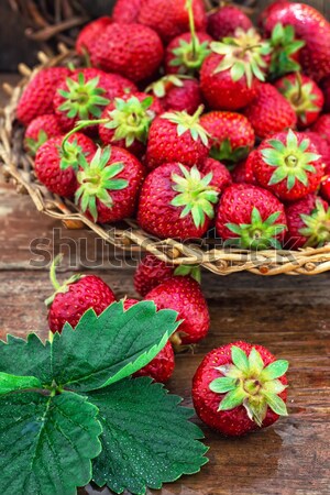 Estate raccolto fragole basket maturo Foto d'archivio © nikolaydonetsk