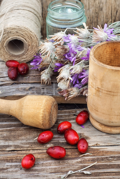 Cornel berries with herbaceous medicinal shrub Stock photo © nikolaydonetsk