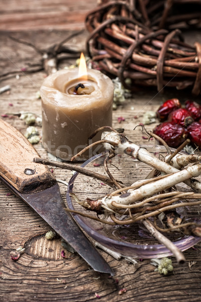 medicinal herbs and roots Stock photo © nikolaydonetsk
