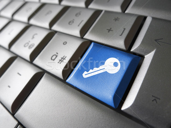 Web sicurezza accesso chiave internet icona Foto d'archivio © NiroDesign