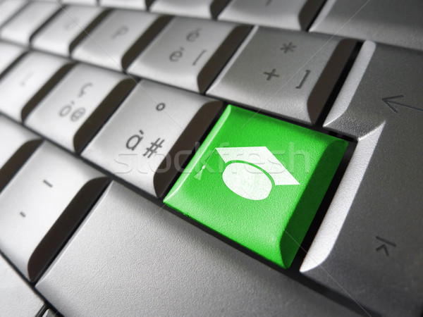 Online Learning Icon Key Stock photo © NiroDesign