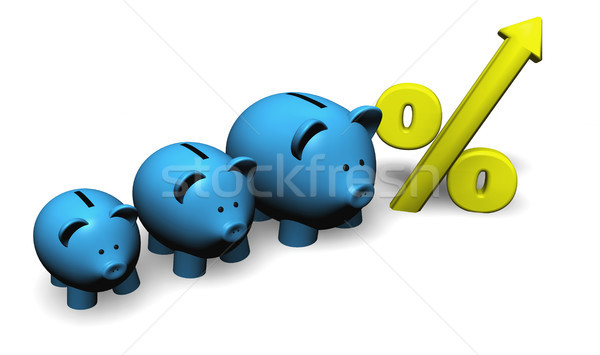 Growth Savings And Investment Concept Stock photo © NiroDesign