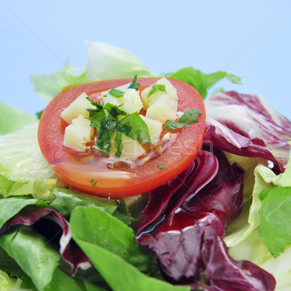 garden salad Stock photo © nito