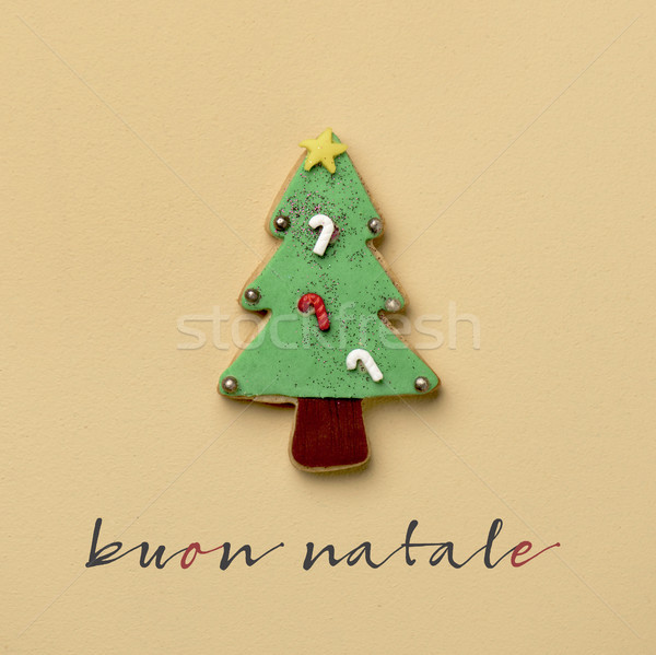 text buon natale, merry christmas in italian Stock photo © nito