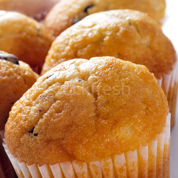 chocolate chip muffins Stock photo © nito