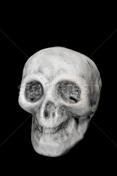 Halloween skull Stock photo © nito