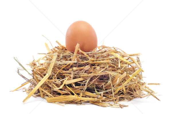 brown egg in a nest Stock photo © nito