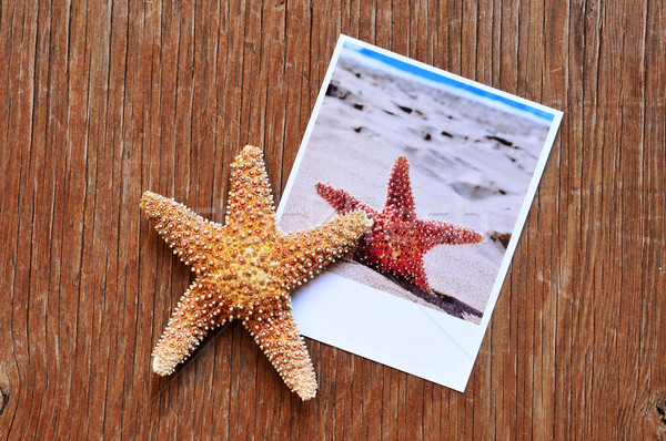 Denizyıldızı fotoğraf ahşap yüzey atış Stok fotoğraf © nito