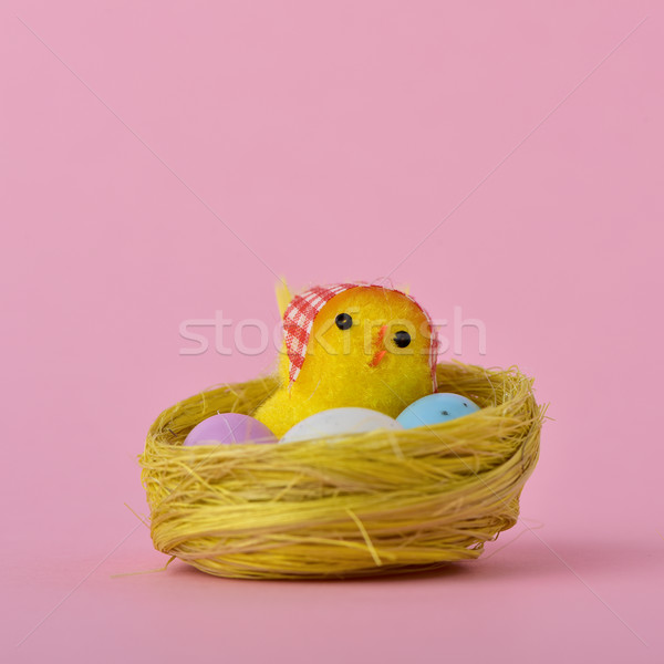 Stockfoto: Teddy · chick · nest · eieren · verschillend · kleuren