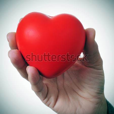 woman hand holding a red heart Stock photo © nito