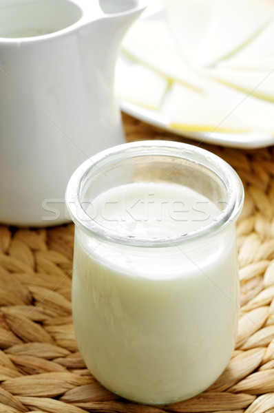 Milchprodukte Joghurt Milch Käse Gesundheit Platte Stock foto © nito