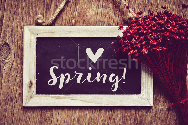 Stock photo: I love spring in a chalkboard
