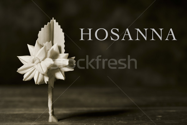braided palm for Palm Sunday and word hosanna Stock photo © nito