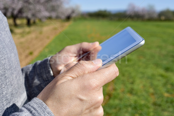 man using a tablet in a grove of almond trees Stock photo © nito