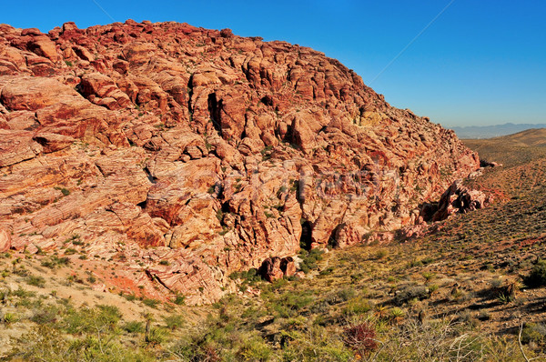 Rot rock Canyon Erhaltung Nevada Sandstein Stock foto © nito
