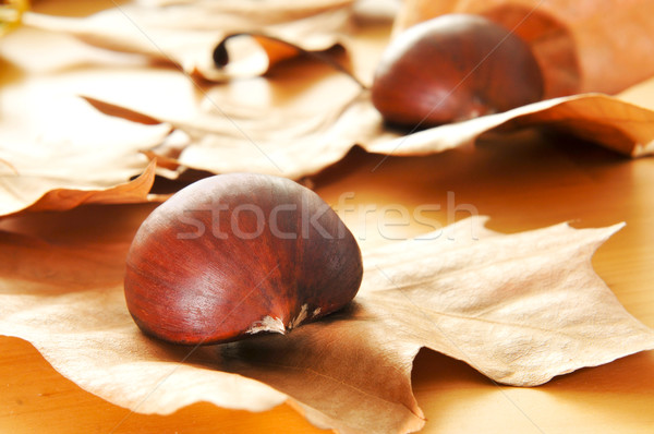 chestnuts Stock photo © nito