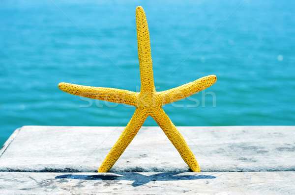 Starfish vieux bois pier mer [[stock_photo]] © nito