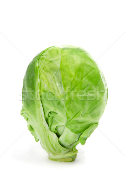 Brussels sprout Stock photo © nito