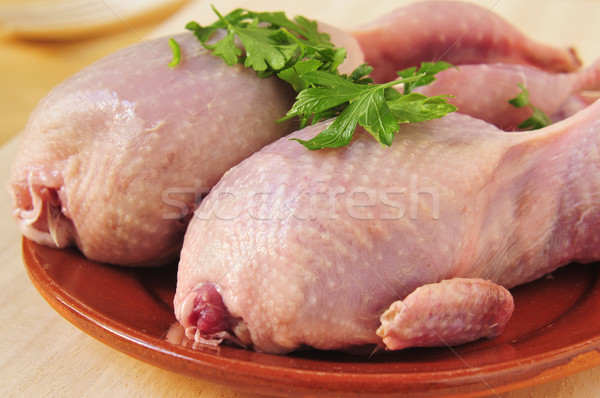 plucked quails Stock photo © nito