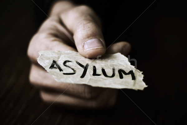 piece of paper with the word asylum Stock photo © nito