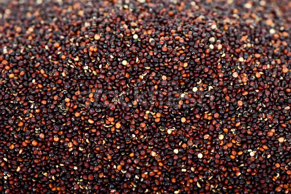 black quinoa seeds Stock photo © nito